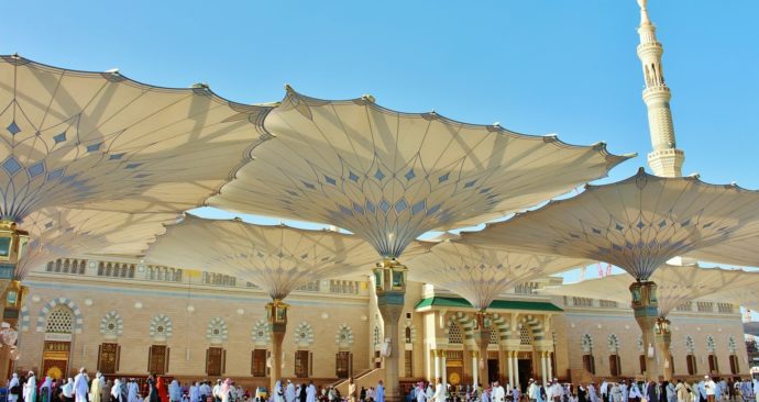 prophet-2249759_19202