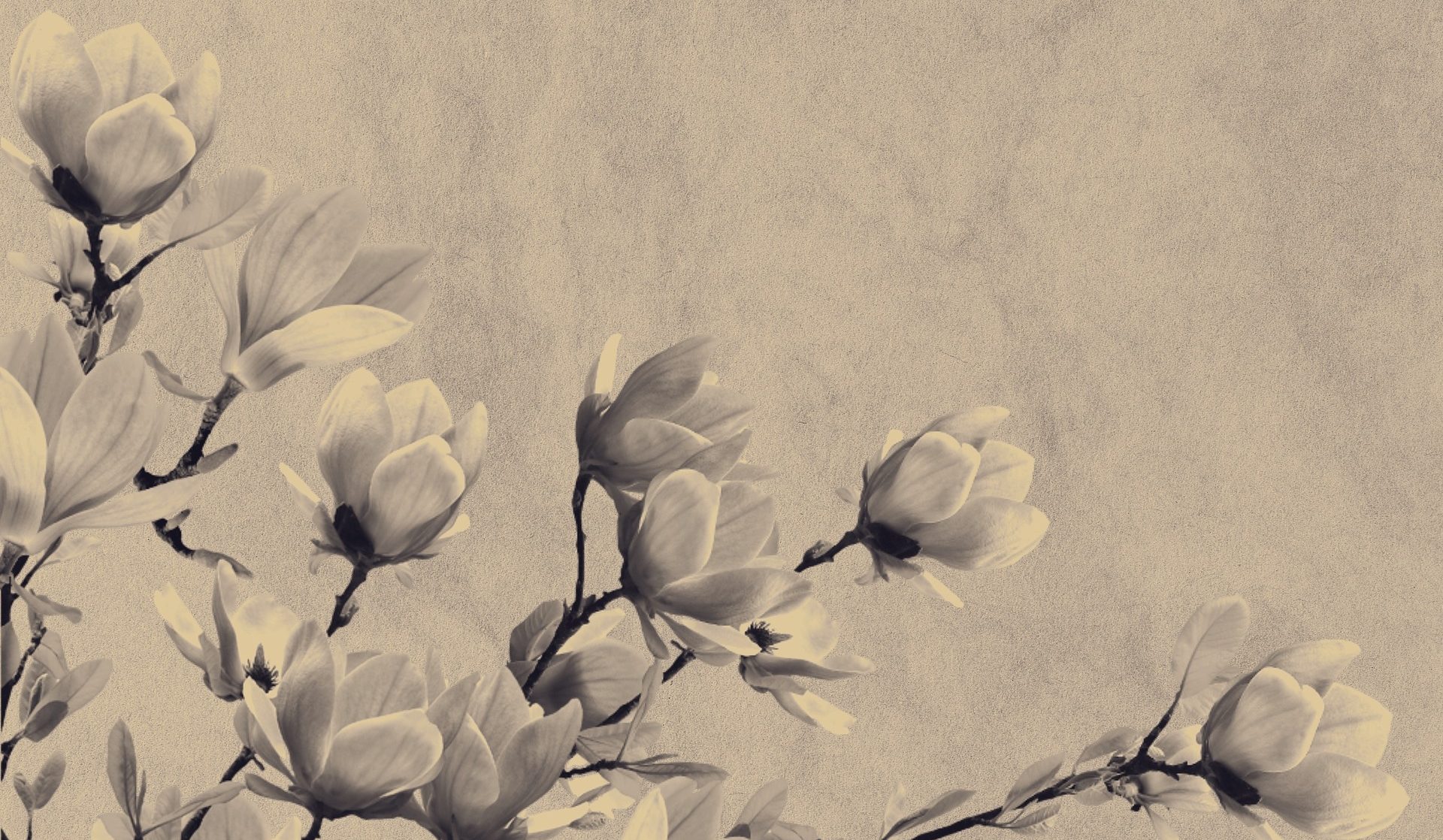 Rouwen in het huidige Nederland - Nieuw Wij