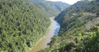 Whanganui-River-nieuw-zeeland