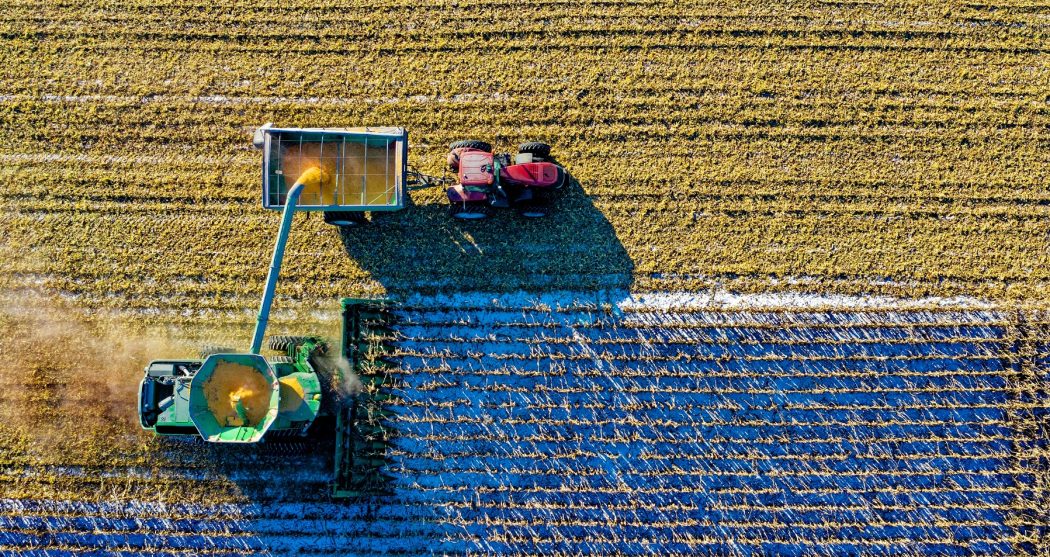 pexels-tom-fisk-1595104