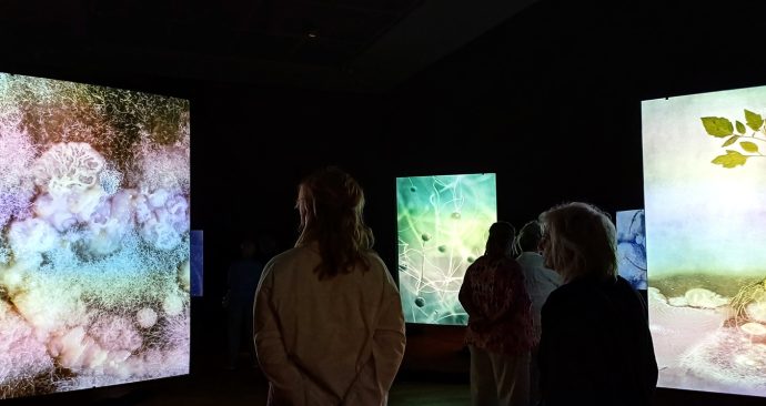 ZIntijd – Project Mycelium van Tinke van der Pouw kraan ism AMOLF en de VU-