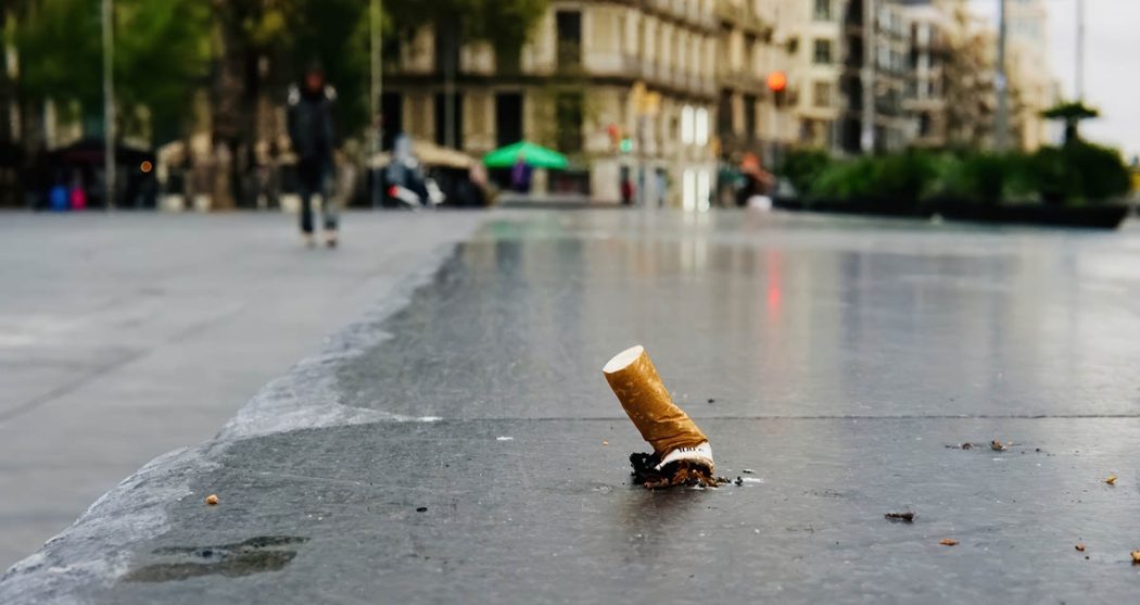 Sam Lee – Oktober 2025_header