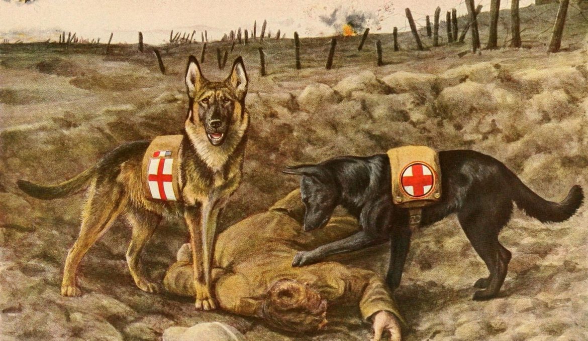 kryciak from Pixabay