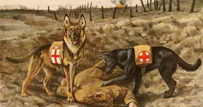 kryciak from Pixabay