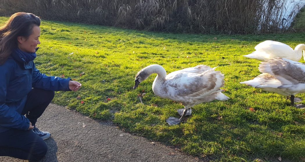 20211225_103847_001_01