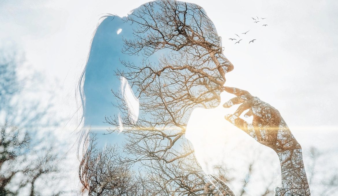 ocay ertem – Pixabay