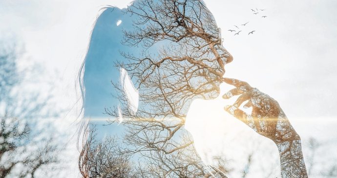 ocay ertem – Pixabay