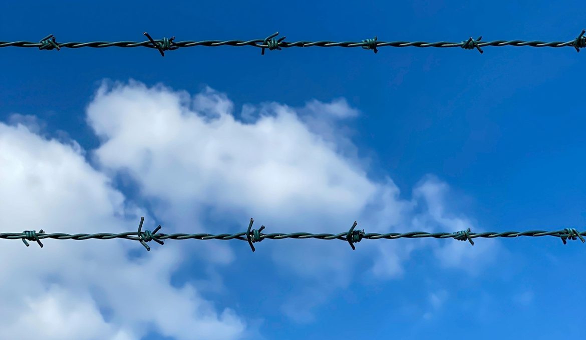 Aleksandar Pasaric – Pexels