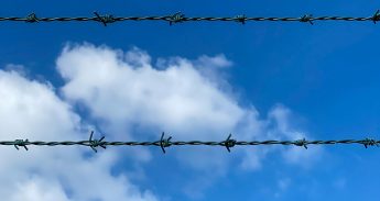 Aleksandar Pasaric – Pexels