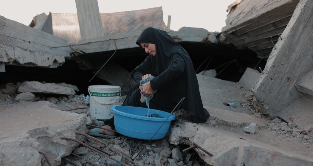 pexels-hosny-salah-21693143-36193756