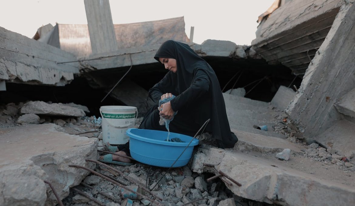 pexels-hosny-salah-21693143-36193756