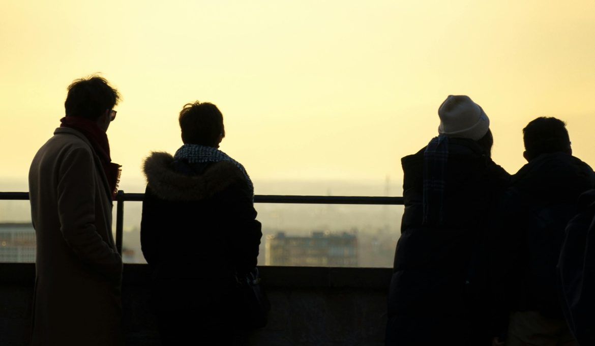 pexels-leonhellegers-36022002 (1)