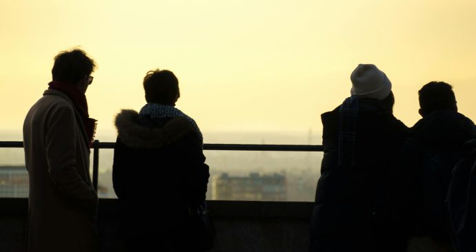 pexels-leonhellegers-36022002 (1)