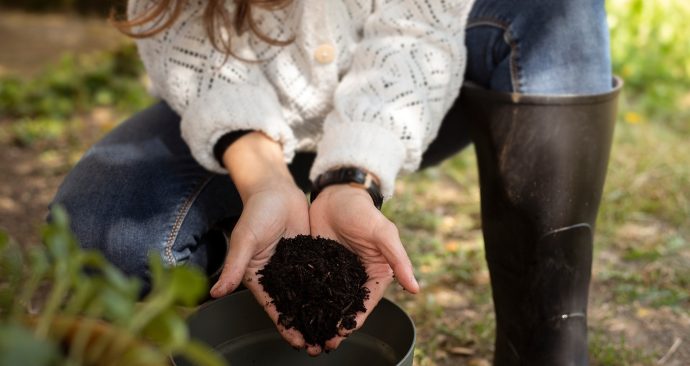 26-03-11 ambrevega-woman-9642492_1920