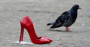 Foto2-de_rode_lege_hakken_lee