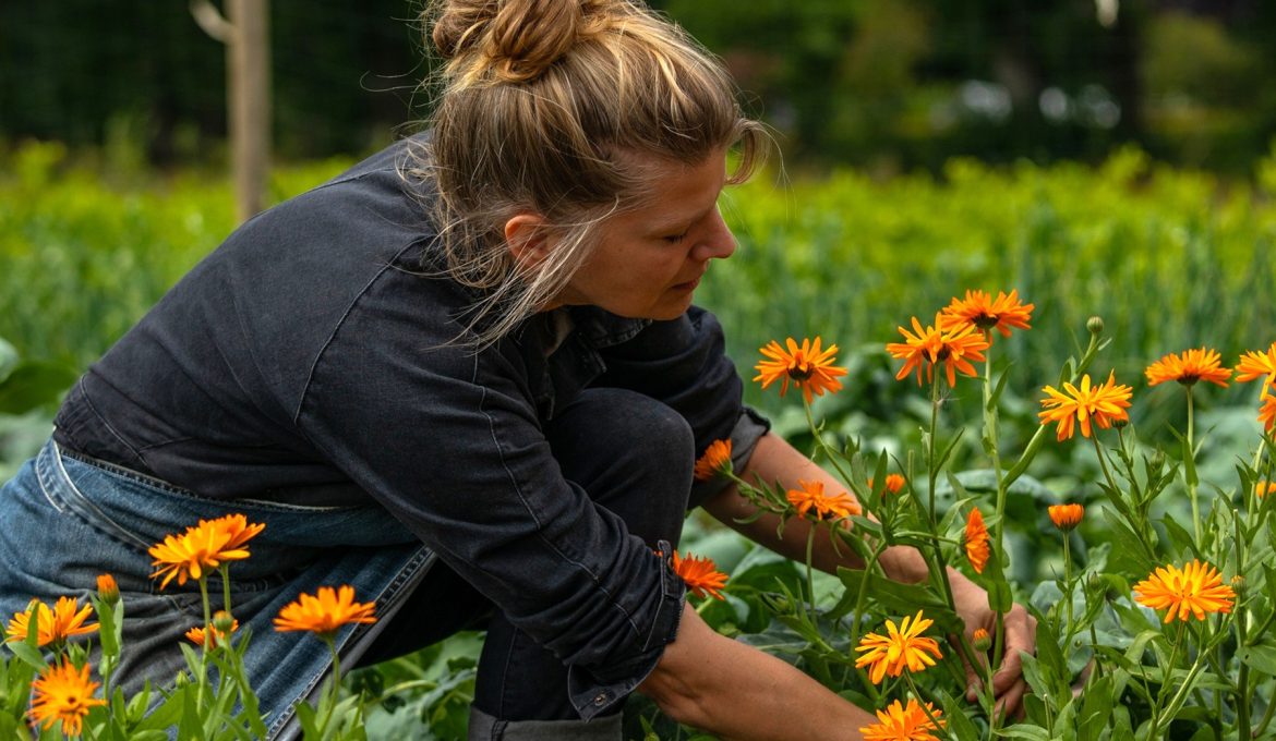 Hoofdfoto ’tGagel-128