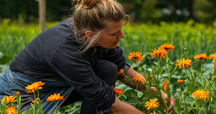 Hoofdfoto ’tGagel-128