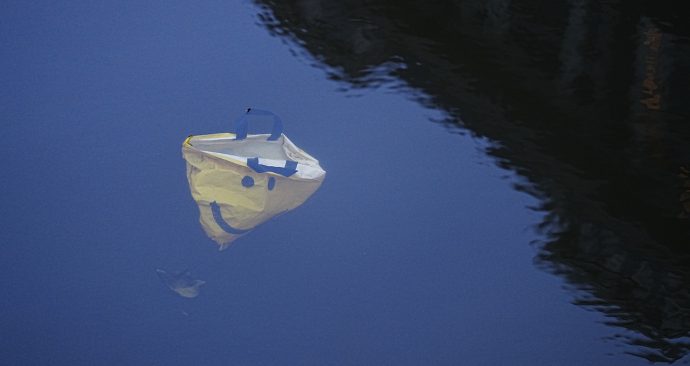 Foto3-de_zinkende_glimlach_lee