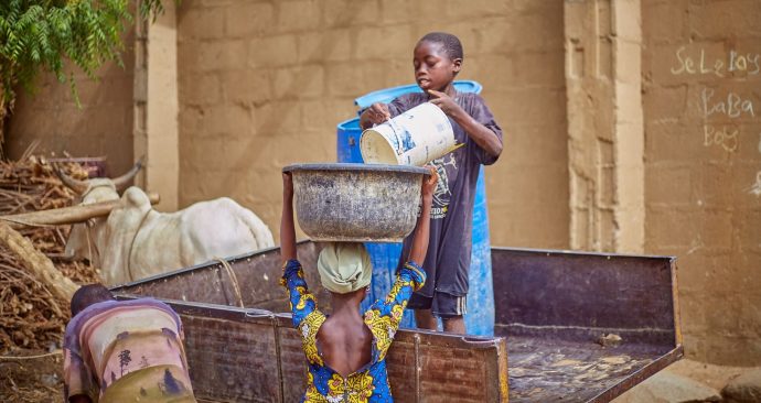 pexels-abdulkadir-muhammad-sani-2150944758-31814841