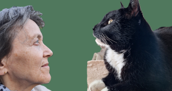Mini met kat